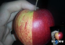 Tags: apple, colours, dividing, line, straight, two (Pict. in My r/MILDLYINTERESTING favs)
