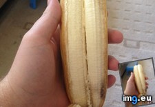 Tags: banana, twin (Pict. in My r/MILDLYINTERESTING favs)