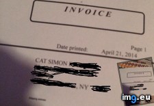 Tags: bill, cat, mail, received (Pict. in My r/MILDLYINTERESTING favs)
