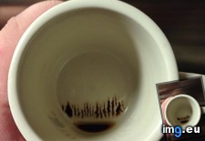 Tags: coffee, forest, lake, sediment (Pict. in My r/MILDLYINTERESTING favs)