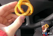 Tags: celtic, curly, fry, infinity, knot (Pict. in My r/MILDLYINTERESTING favs)