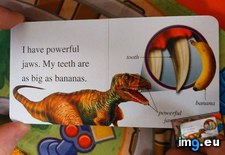 Tags: banana, book, daughter, dinosaur, scale (Pict. in My r/MILDLYINTERESTING favs)