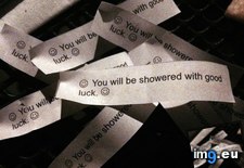 Tags: cookie, daughter, fortune, had, multiple, versions, veryyoung (Pict. in My r/MILDLYINTERESTING favs)