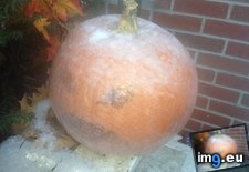 Tags: friend, froze, halloween, left, out, pumpkin, year (Pict. in My r/MILDLYINTERESTING favs)