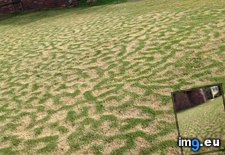 Tags: grass, patterned, winter (Pict. in My r/MILDLYINTERESTING favs)