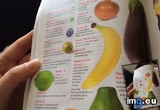 Tags: banana, magazine, parent, scale (Pict. in My r/MILDLYINTERESTING favs)