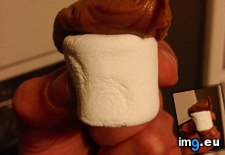 Tags: brian, butter, conan, marshmallow, peanut (Pict. in My r/MILDLYINTERESTING favs)