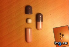 Tags: hold, pills, smaller (Pict. in My r/MILDLYINTERESTING favs)