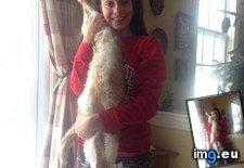 Tags: cat, head, holding, our, sister, way (Pict. in My r/MILDLYINTERESTING favs)