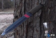 Tags: knife, stuck, throwing, tree (Pict. in My r/MILDLYINTERESTING favs)