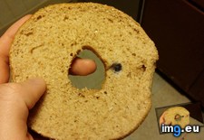 Tags: bagel, blueberry, wheat (Pict. in My r/MILDLYINTERESTING favs)