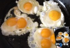 Tags: egg, had, one, two, yolks (Pict. in My r/MILDLYINTERESTING favs)