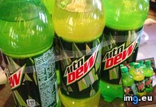 Tags: bottle, clear, dews, mountain, one (Pict. in My r/MILDLYINTERESTING favs)