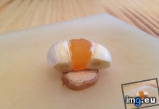 Tags: chop, cloves, garlic, one, orange, wanted, was (Pict. in My r/MILDLYINTERESTING favs)