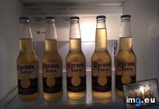 Tags: beer, bottles, corona, one (Pict. in My r/MILDLYINTERESTING favs)