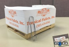 Tags: company, mini, pallet (Pict. in My r/MILDLYINTERESTING favs)