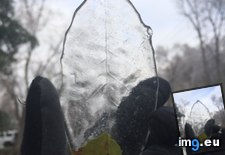 Tags: frozen, leaf, perfectly (Pict. in My r/MILDLYINTERESTING favs)