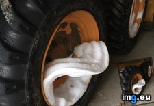 Tags: bobcat, peeling, snow, tire (Pict. in My r/MILDLYINTERESTING favs)