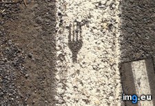 Tags: fork, painted, street (Pict. in My r/MILDLYINTERESTING favs)