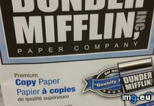 Tags: dunder, mifflin, paper, sells, staples (Pict. in My r/MILDLYINTERESTING favs)