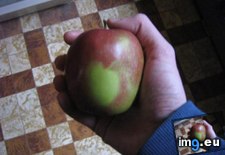 Tags: apple, green, spot (Pict. in My r/MILDLYINTERESTING favs)
