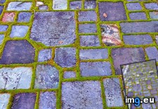 Tags: interesting, moss, patio, pattern (Pict. in My r/MILDLYINTERESTING favs)
