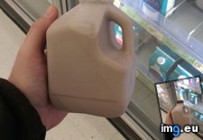 Tags: jug, milk, size (Pict. in My r/MILDLYINTERESTING favs)