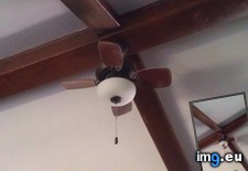 Tags: ceiling, fan, smallest (Pict. in My r/MILDLYINTERESTING favs)