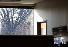Tags: office, sunlight, upvote (Pict. in My r/MILDLYINTERESTING favs)
