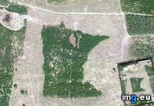 Tags: forest, minnesota, shaped (Pict. in My r/MILDLYINTERESTING favs)