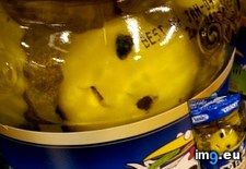 Tags: alien, jar, pickles, trapped (Pict. in My r/MILDLYINTERESTING favs)