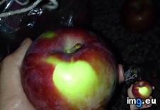 Tags: apple (Pict. in My r/MILDLYINTERESTING favs)