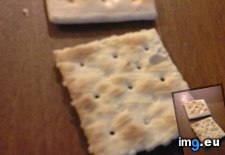 Tags: cracker, package, rubber, saltines, unopened (Pict. in My r/MILDLYINTERESTING favs)