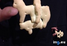 Tags: animal, are, crackers, orgy, stuck (Pict. in My r/MILDLYINTERESTING favs)