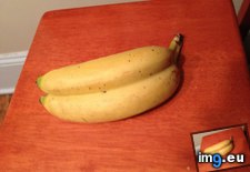 Tags: are, bananas, fused, two (Pict. in My r/MILDLYINTERESTING favs)