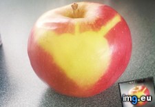 Tags: apple (Pict. in My r/MILDLYINTERESTING favs)