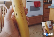 Tags: banana, completely, straight, was (Pict. in My r/MILDLYINTERESTING favs)