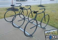Tags: bike, bikes, rack, shaped (Pict. in My r/MILDLYINTERESTING favs)