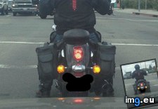 Tags: bikers, brake, jacket, lights, signal (Pict. in My r/MILDLYINTERESTING favs)