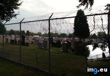 Tags: barbed, cemetary, designed, fence, people, wire (Pict. in My r/MILDLYINTERESTING favs)