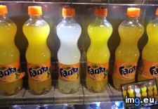 Tags: fanta (Pict. in My r/MILDLYINTERESTING favs)