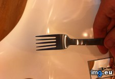 Tags: fork, spikes (Pict. in My r/MILDLYINTERESTING favs)