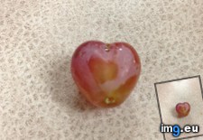 Tags: grape, heart, sort (Pict. in My r/MILDLYINTERESTING favs)