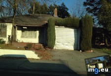 Tags: bush, entrance, garage, growing, house (Pict. in My r/MILDLYINTERESTING favs)