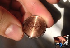 Tags: american, quarter, tail (Pict. in My r/MILDLYINTERESTING favs)