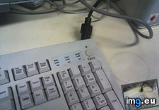 Tags: actual, button, easy, keyboard (Pict. in My r/MILDLYINTERESTING favs)