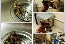 Tags: camouflaged, frog, moth (Pict. in My r/MILDLYINTERESTING favs)