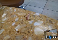 Tags: bacon, piece, rock, slice (Pict. in My r/MILDLYINTERESTING favs)