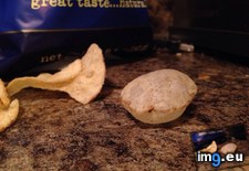 Tags: bubble, chip, large, one, potato (Pict. in My r/MILDLYINTERESTING favs)