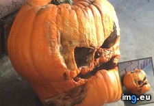 Tags: man, old, pumpkin, shriveled (Pict. in My r/MILDLYINTERESTING favs)